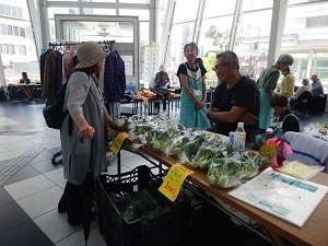 IMG_20190526_114625.jpg